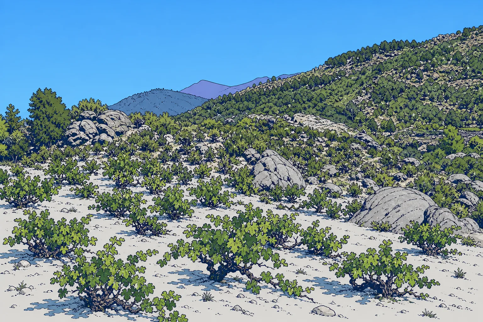 DOP Cebreros: Garnacha y Albillo Real de Gredos
