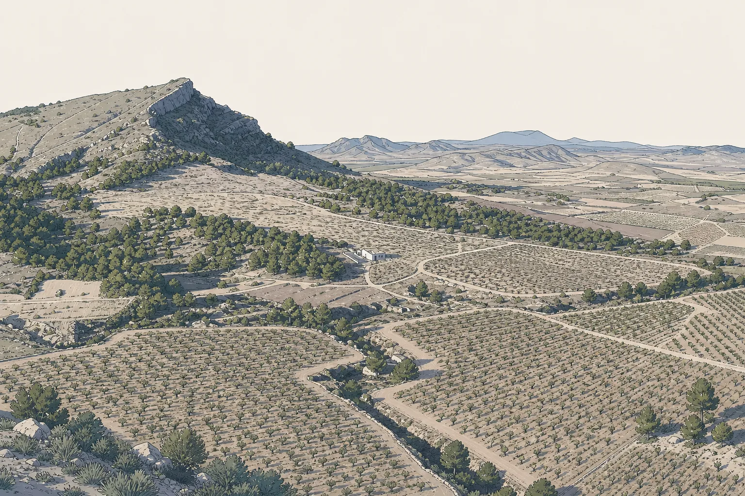 Vinos de Jumilla: Monastrell en tierras áridas