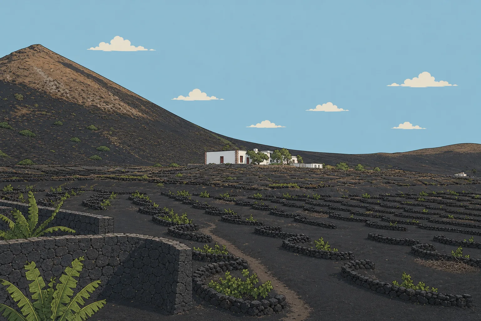 DOP Lanzarote: malvasía entre picón y alisios