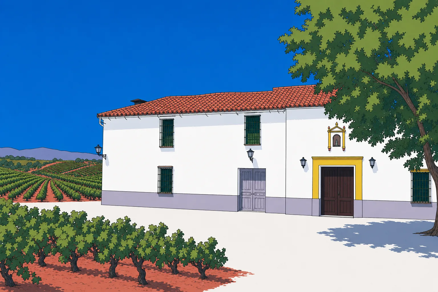 DOP Montilla-Moriles: Vinos de Pedro Ximénez y Crianza bajo Flor